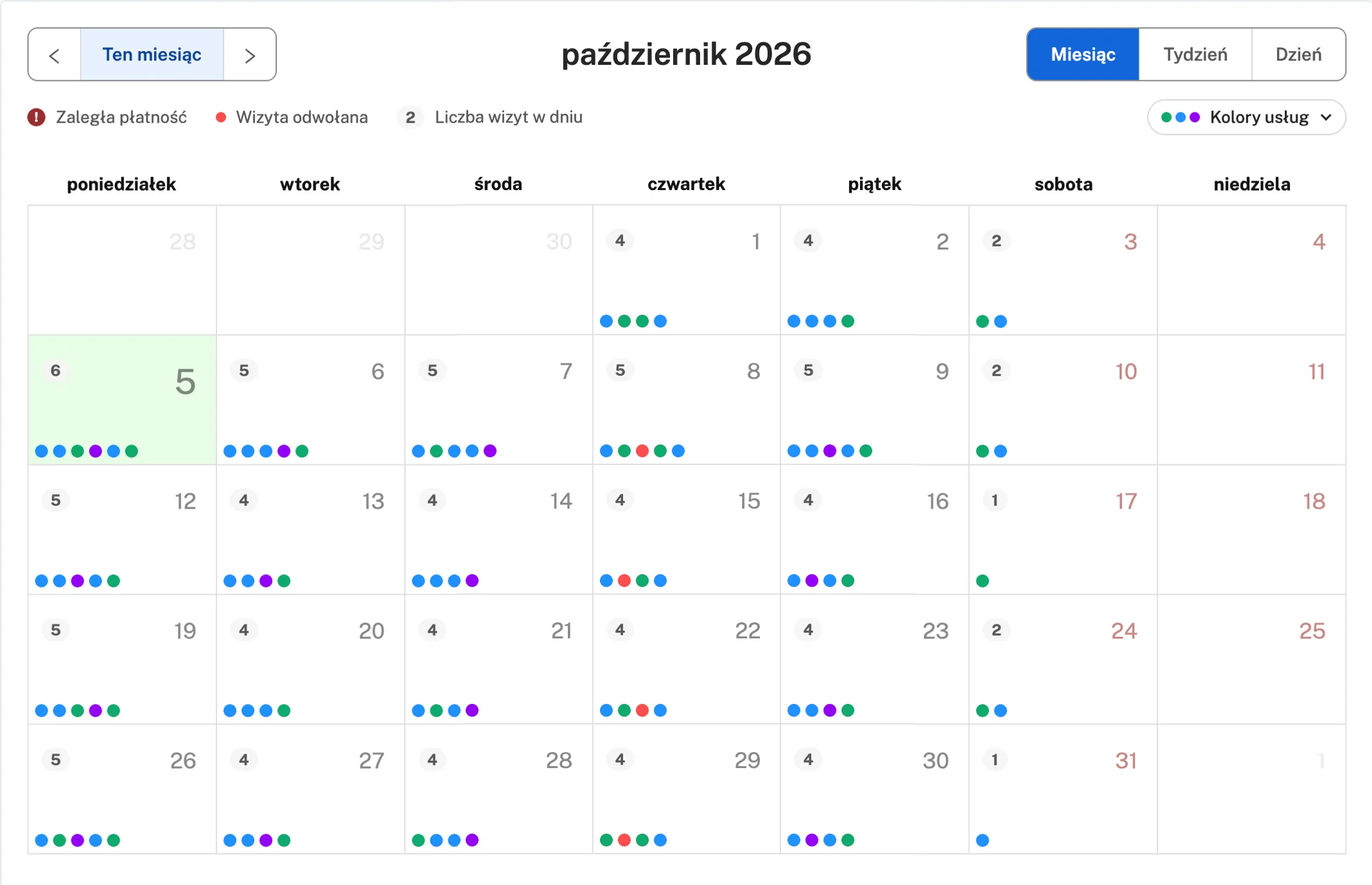 Nowy widok miesiąca: szare liczniki wizyt i kropki w kolorach usług